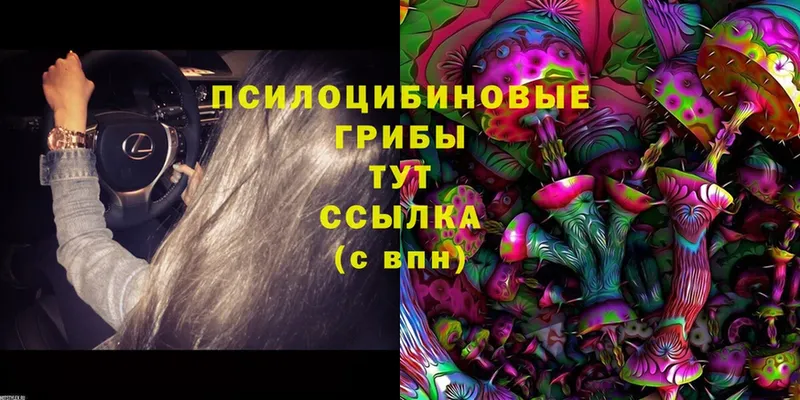 mega вход  Дно  Псилоцибиновые грибы MAGIC MUSHROOMS  где купить  